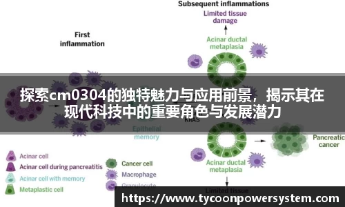探索cm0304的独特魅力与应用前景，揭示其在现代科技中的重要角色与发展潜力